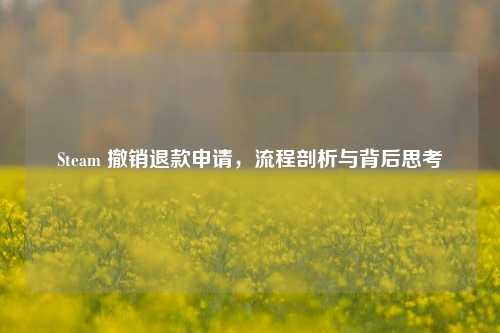 Steam 撤销退款申请,流程剖析与背后思考