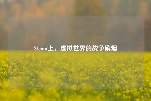 Steam上,虚拟世界的战争硝烟