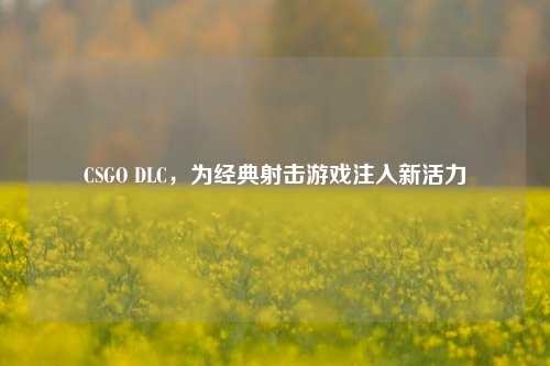 CSGO DLC,为经典射击游戏注入新活力
