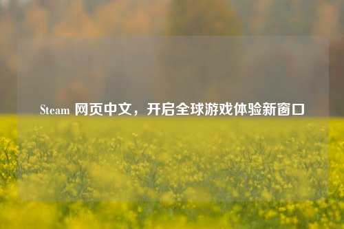 Steam 网页中文,开启全球游戏体验新窗口