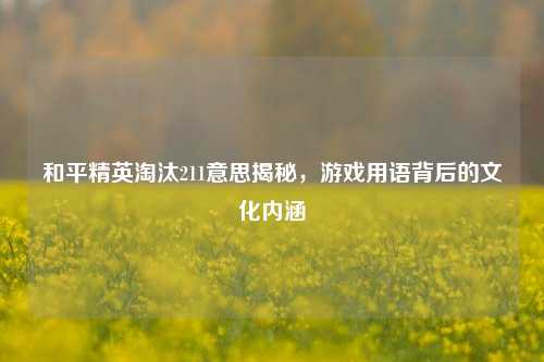 和平精英淘汰211意思揭秘,游戏用语背后的文化内涵