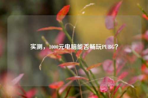 实测,1000元电脑能否畅玩PUBG?