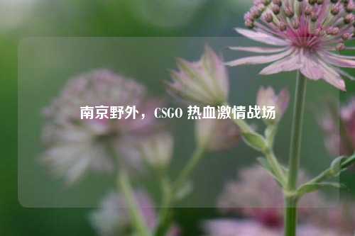 南京野外,CSGO 热血***战场