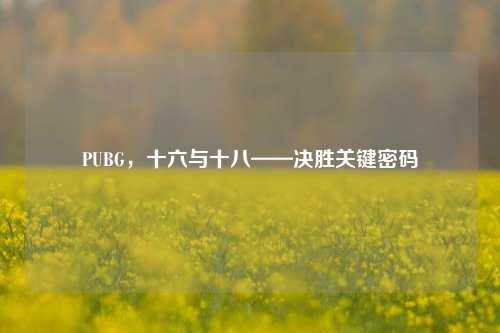PUBG,十六与十八——决胜关键密码