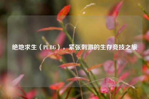 绝地求生(PUBG),紧张***的生存竞技之旅