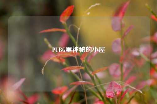 PUBG里神秘的小屋