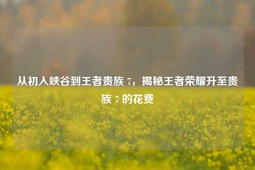 从初入峡谷到王者贵族 7,揭秘王者荣耀升至贵族 7 的花费