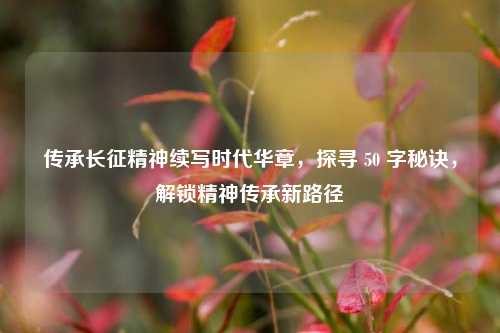 传承长征精神续写时代华章,探寻 50 字秘诀,解锁精神传承新路径