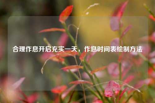合理作息开启充实一天,作息时间表绘制 ***
