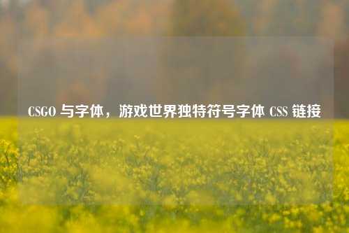 CSGO 与字体,游戏世界独特符号字体 CSS 链接