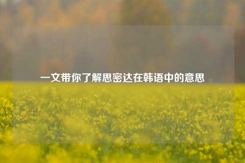 一文带你了解思密达在韩语中的意思