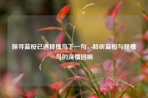 探寻蓝桉已遇释槐鸟下一句,聆听蓝桉与释槐鸟的深情回响