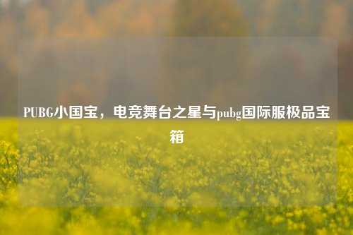 PUBG小国宝,电竞舞台之星与pubg国际服极品宝箱