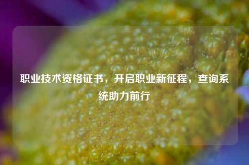 职业技术资格证书,开启职业新征程,查询系统助力前行