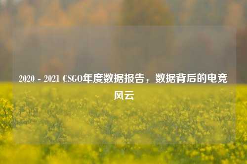 2020 - 2021 CSGO年度数据报告,数据背后的电竞风云