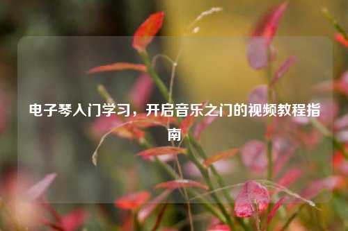 电子琴入门学习,开启音乐之门的视频教程指南