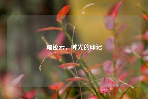 尾迹云,时光的印记