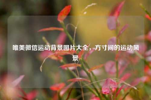 唯美微信运动背景图片大全,方寸间的运动风景