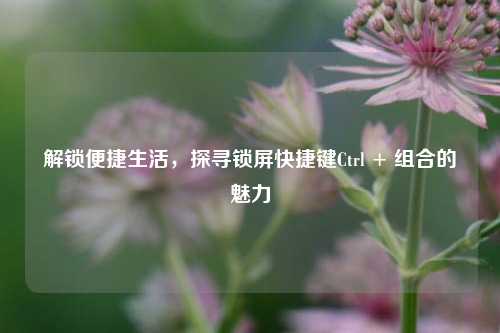 解锁便捷生活,探寻锁屏快捷键Ctrl + 组合的魅力