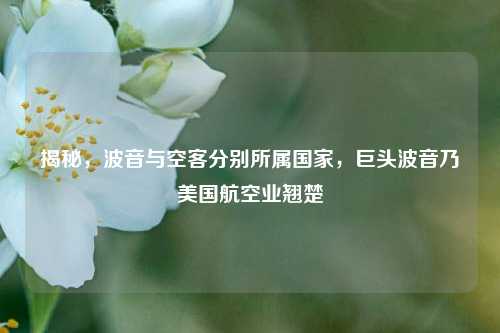 揭秘,波音与空客分别所属国家,巨头波音乃美国航空业翘楚