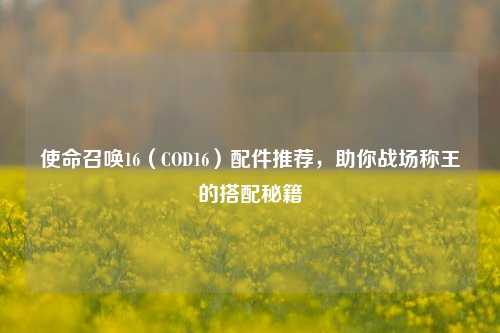 使命召唤16(COD16)配件推荐,助你战场称王的搭配秘籍