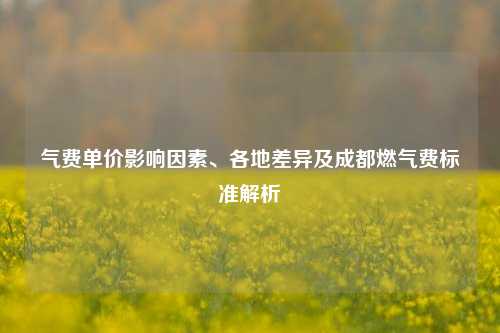 气费单价影响因素、各地差异及成都燃气费标准解析