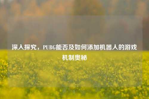深入探究,PUBG能否及如何添加机器人的游戏机制奥秘