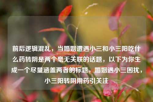 前后逻辑混乱,当婚姻遭遇小三和小三阳吃什么药转阴是两个毫无关联的话题,以下为你生成一个尽量涵盖两者的标题,婚姻遇小三困扰,小三阳转阴用药引关注