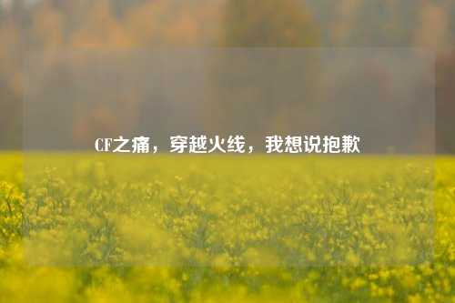 CF之痛,穿越火线,我想说抱歉