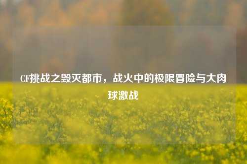 CF挑战之毁灭都市,战火中的极限冒险与大肉球激战
