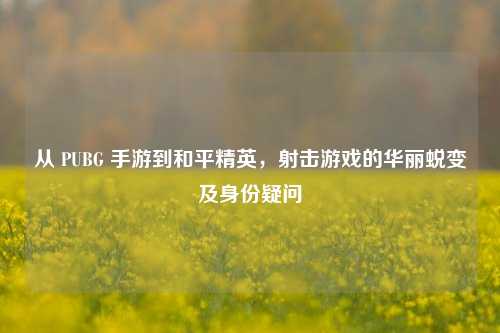 从 PUBG 手游到和平精英,射击游戏的华丽蜕变及身份疑问
