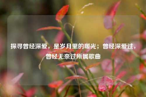 探寻曾经深爱,是岁月里的暖光;曾经深爱过,曾经无奈过所属歌曲