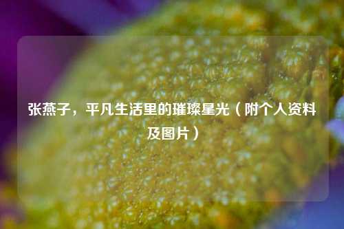 张燕子,平凡生活里的璀璨星光(附个人资料及图片)