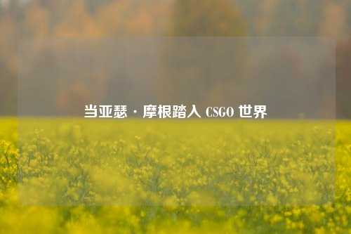 当亚瑟·摩根踏入 CSGO 世界