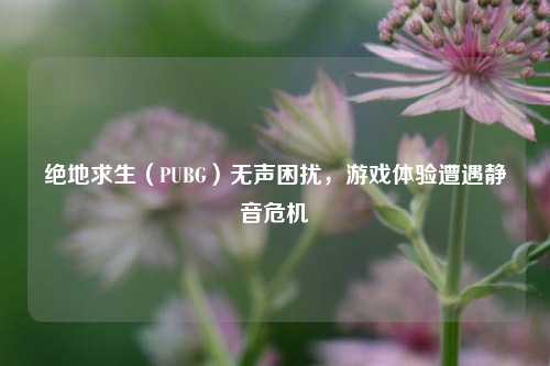 绝地求生(PUBG)无声困扰,游戏体验遭遇静音危机