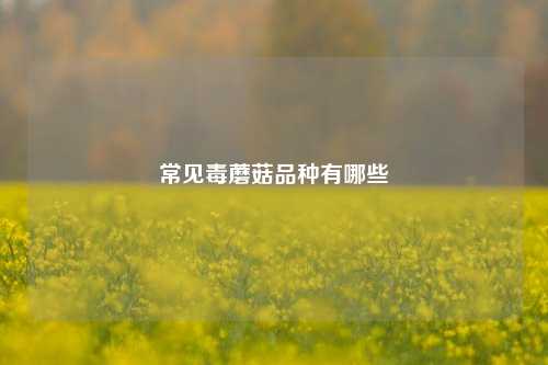 常见毒蘑菇品种有哪些