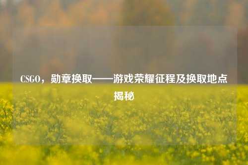 CSGO,勋章换取——游戏荣耀征程及换取地点揭秘
