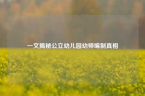 一文揭秘公立幼儿园幼师编制真相