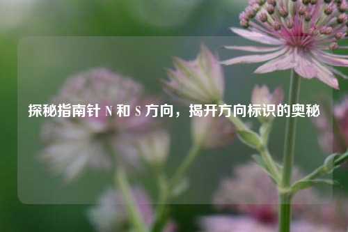 探秘指南针 N 和 S 方向,揭开方向标识的奥秘