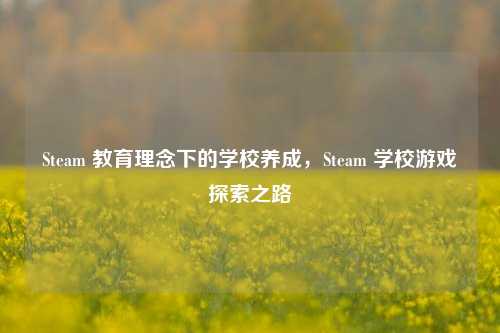 Steam 教育理念下的学校养成,Steam 学校游戏探索之路