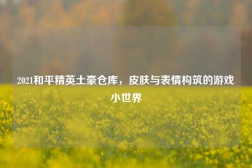 2021和平精英土豪仓库,皮肤与表情构筑的游戏小世界