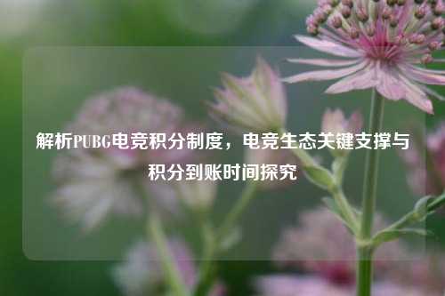 解析PUBG电竞积分制度,电竞生态关键支撑与积分到账时间探究