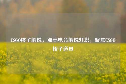CSGO核子解说,点亮电竞解说灯塔,聚焦CSGO核子道具