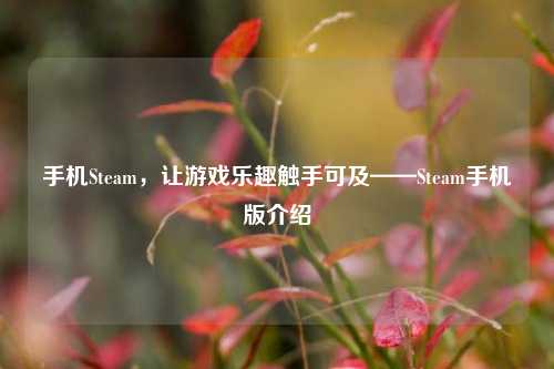 手机Steam,让游戏乐趣触手可及——Steam手机版介绍