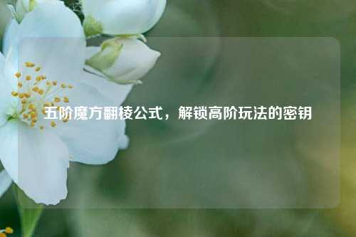 五阶魔方翻棱公式,解锁高阶玩法的密钥