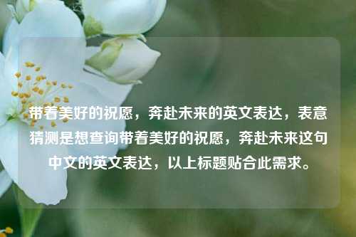 带着美好的祝愿,奔赴未来的英文表达,表意猜测是想查询带着美好的祝愿,奔赴未来这句中文的英文表达,以上标题贴合此需求。