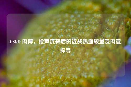 CSGO 肉搏,枪声沉寂后的近战热血较量及肉意探寻