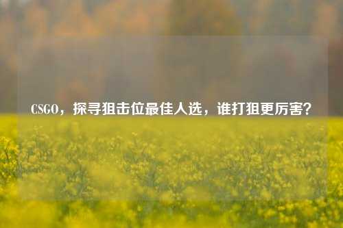 CSGO,探寻狙击位更佳人选,谁打狙更厉害?