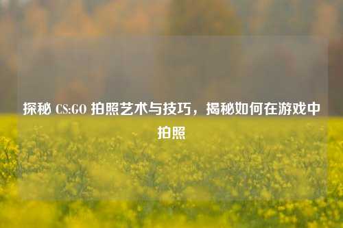 探秘 CS:GO 拍照艺术与技巧,揭秘如何在游戏中拍照