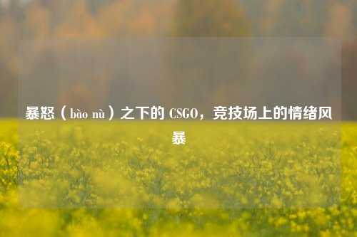 暴怒(bào nù)之下的 CSGO,竞技场上的情绪风暴